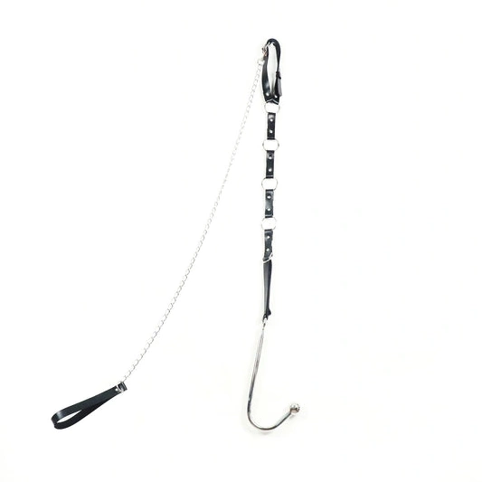 Anal Hooks Kinky EverydayUse Leash Hook Anal 5853 with and Collar 0128